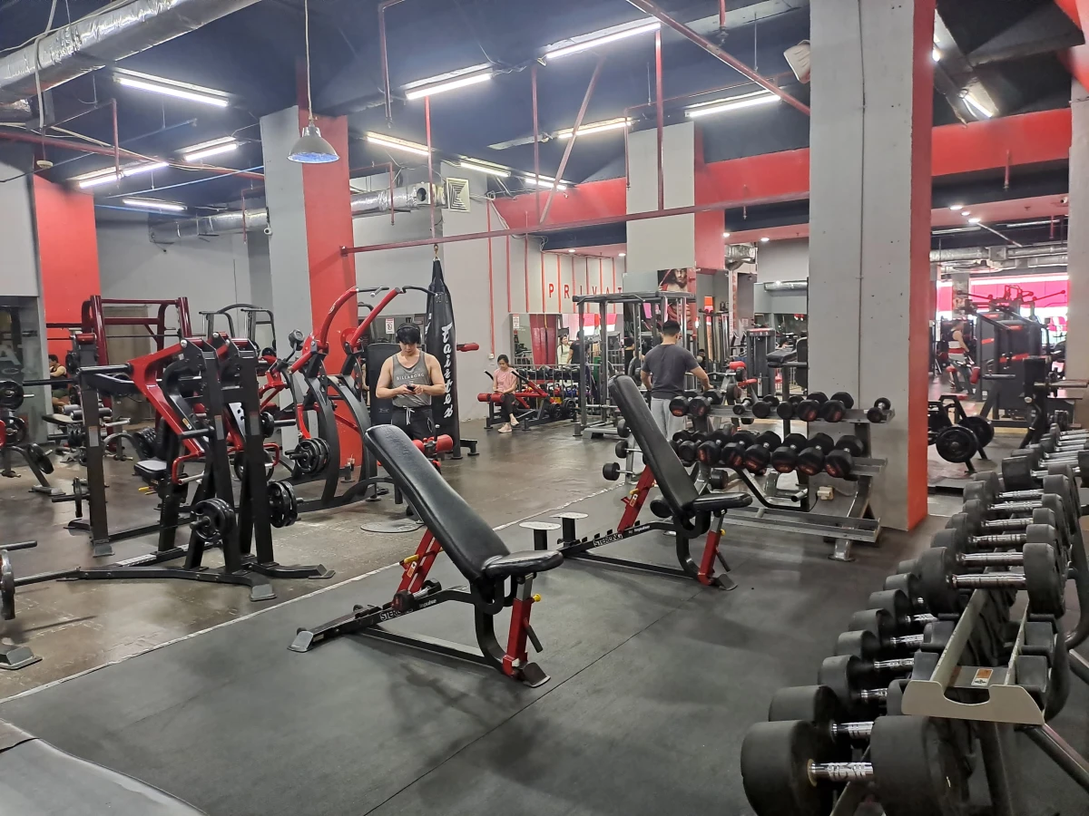Osbond Gym Seasons City